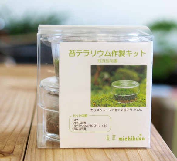 シャーレで育てる。苔テラリウム作製キットBタイプ テラリウム 道草 