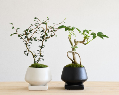 0_22da13dc06c65cef35250fabd327