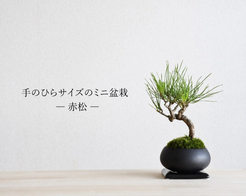 sd1_3f5af568b30c7c5709d8d6122c