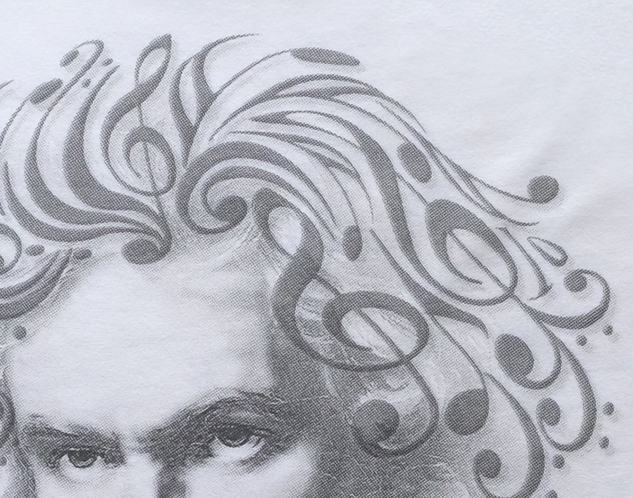 ◆◇Ja ja ja Ja~~n♪ 5.6oz Tシャツ 2 colors / ベートーベン