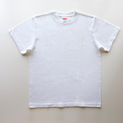 ◆◇ はみだ シマウマ ん！ 5.6oz　Tシャツ　３ colors 7枚目の画像