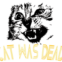 CAT WAS DEAD　フォント1　アプリコット　ドルマン（ Tシャツ ） 1枚目の画像