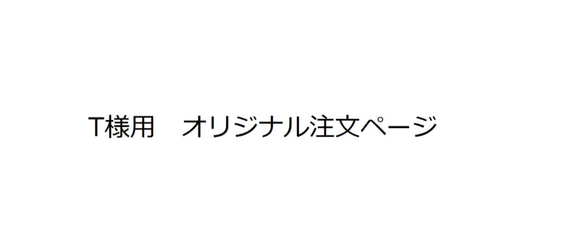 T様用　オリジナル注文専用ページ　 1枚目の画像