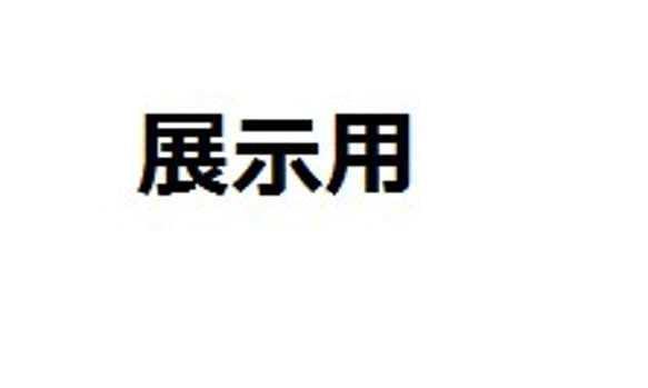 展示用 1枚目の画像