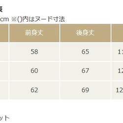 ペンギン　レディースノーカラースキッパーシャツ 4枚目の画像