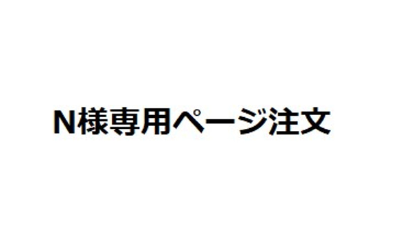 N様専用ページご注文 1枚目の画像