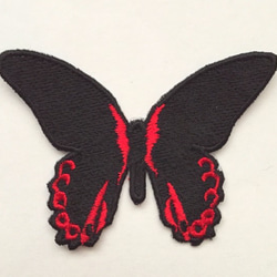 刺繍ワッペン■アカネアゲハ■蝶々 1枚目の画像