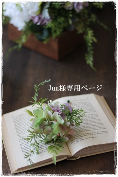 junさま専用ページ