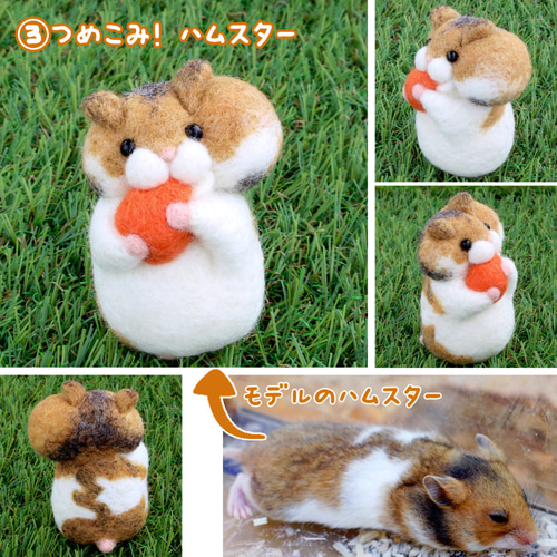 うちの子！ハムスター【オーダーメイド】 羊毛フェルト Yuto