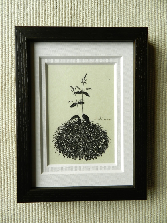 【suzumu 水辺の植物】　ペン原画額装 2枚目の画像