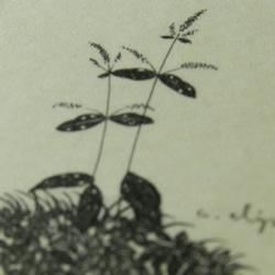 【suzumu 水辺の植物】　ペン原画額装 4枚目の画像