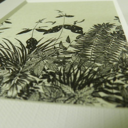 【soyogu 水辺の植物】　ペン原画額装 5枚目の画像