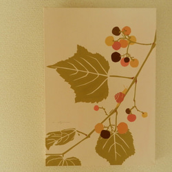【musubu　野葡萄とカタツムリ】　原画パネル 4枚目の画像