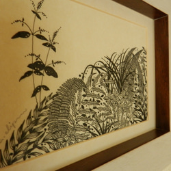 【水辺の植物】　ペン原画額装 2枚目の画像