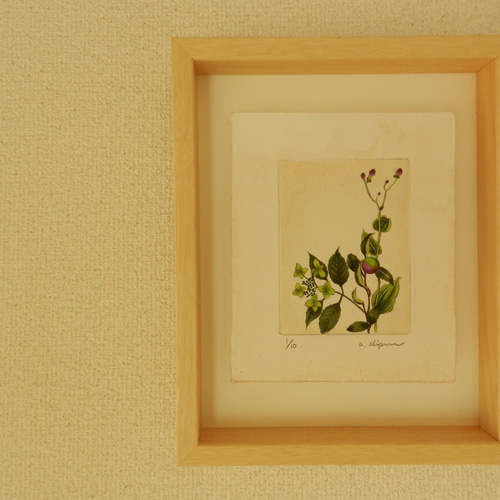 ツバキの額装品（ボタニカルアート） Amazon.co.jp: BiblioArt Series ボタニカルアート 「ピンクの
