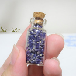 フランス産ラベンダーのドライポプリ<小瓶> ドライフラワー atelier