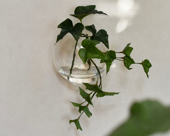 水のいらないグリーンインテリア/Glass Balloon・ロックプランツアイビー 2枚目の画像