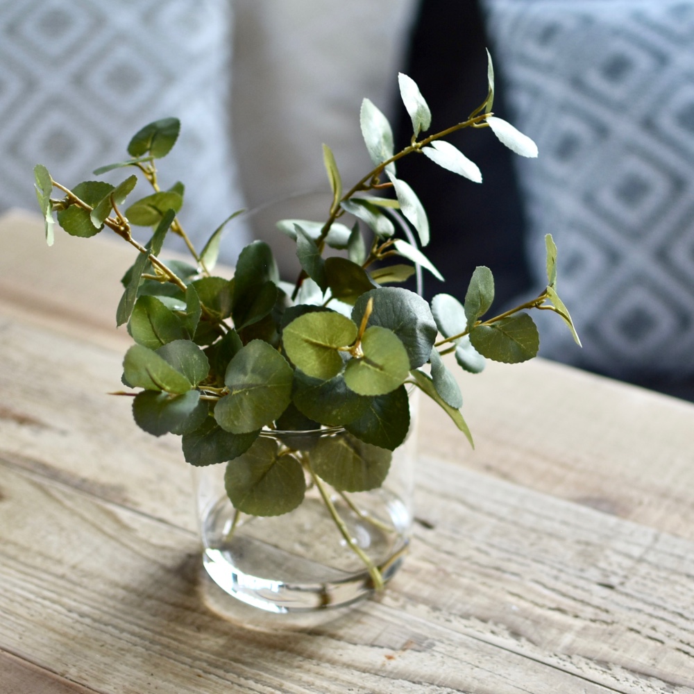 水のいらないグリーンインテリア/ハンキングタブ・ユーカリ