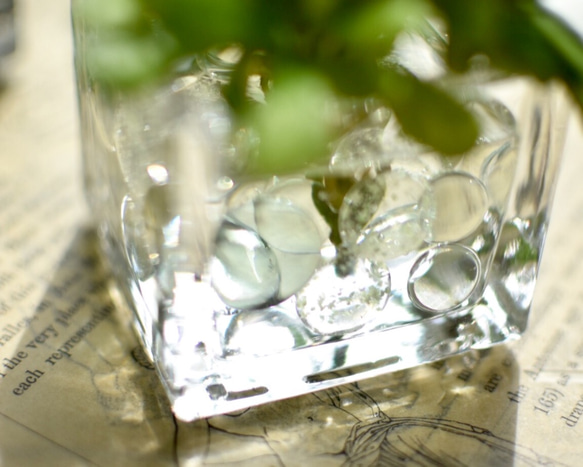水のいらないグリーンインテリア・蓄光ビー玉/「ﾎﾞｯｸｽｳｯﾄﾞﾍﾞﾘｰ＆ﾕｰｶﾘﾌﾞｯｼｭ」セット 4枚目の画像