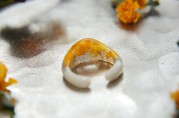 植物耳環橙色 第5張的照片