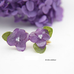 朝摘み紫陽花のピアス・イヤリング 2枚目の画像