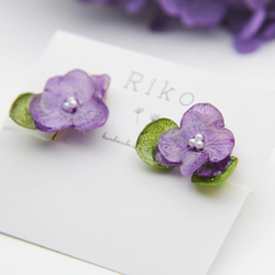 朝摘み紫陽花のピアス・イヤリング 3枚目の画像