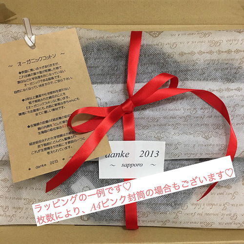 おりものライナー RED×雫 その他ファッション ＊danke2013