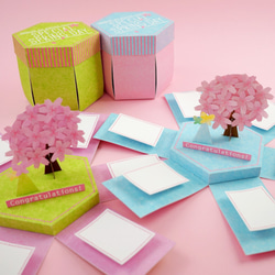【最大６名まで】桜咲く 寄せ書きBOX（空色） 7枚目の画像