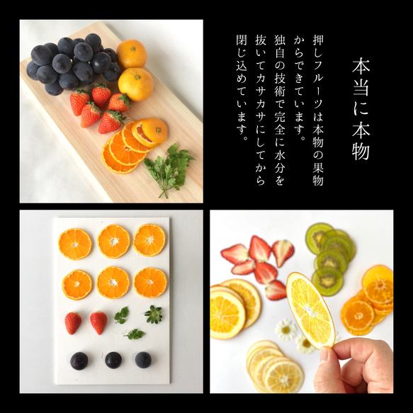 6a.ぶどうと果物 の スマホケース　全機種対応 2枚目の画像