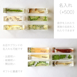 【方形】壓榨水果蔬菜筷架（送禮佳品） 第8張的照片