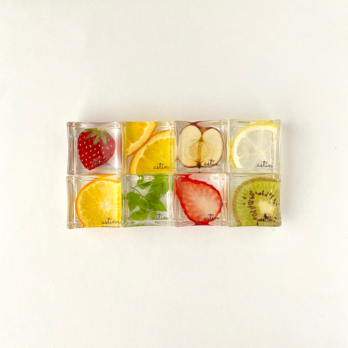 正方形】押しフルーツ・押し野菜の箸置き（ギフトに最適） 箸・箸置き