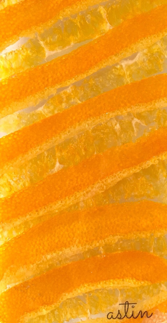 オレンジまるごと1ヶの押し花スマホケース 3枚目の画像