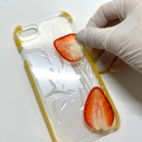 押しフルーツケース★特別価格 押しフルーツスマホケース作成キット | astin muhler | 押し花