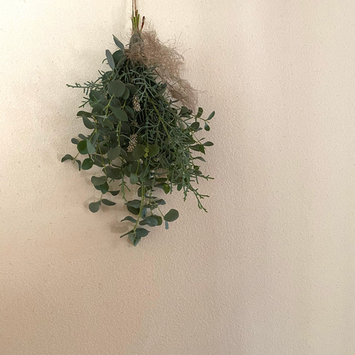 ユーカリ ブルーアイス スモークツリー スワッグ ドライフラワー