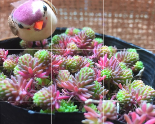 0_5b785f32594f8b156b1cf6319e8f