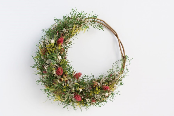 アスパラのクレセント＊グリーンリース リース akuu 通販