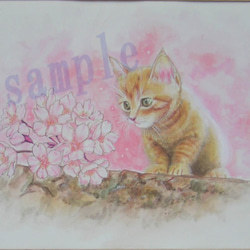 「これ　なぁに？」桜を見つめる猫　(原画) 1枚目の画像