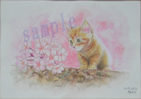 「これ　なぁに？」桜を見つめる猫　(原画) 1枚目の画像