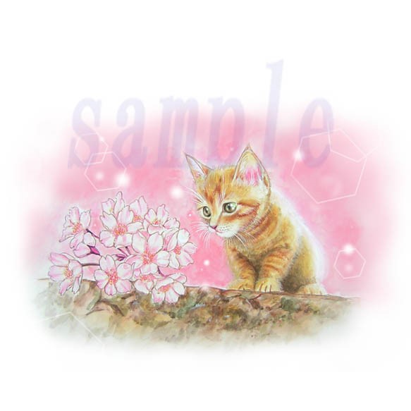 「これ　なぁに？」桜を見つめる猫　(プリント) 1枚目の画像