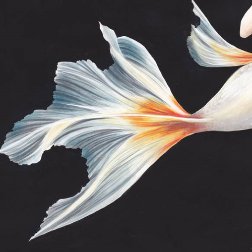 人魚金魚 ー妖艶ー」(原画) 絵画 琴月リュウ 通販 5976820