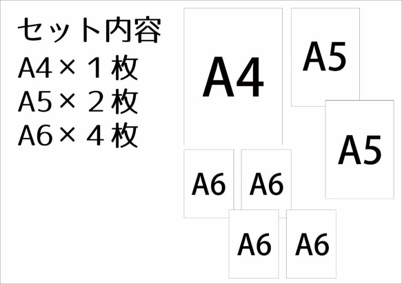  第3張的照片