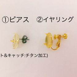 再販✧クリア✧小花ブーケピアス(チタン)/イヤリング 5枚目の画像