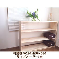 可動棚 角丸加工 W120×H90×D30 サイズオーダーOK 棚・シェルフ・ラック