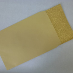 【國內免費送貨】Hako Paper Wrapping Bag Gold 3件 第3張的照片