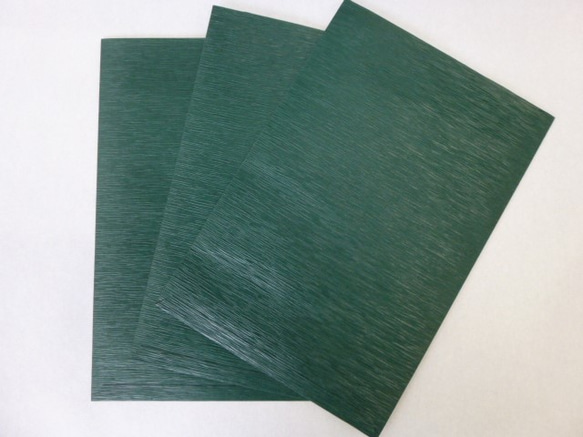 【國內免費送貨】Hako Paper Wrapping Bag綠色3件 第3張的照片