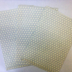 【國內免費送貨】Hako Paper Wrapping Bag 3張宣紙 第2張的照片