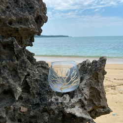 okinawan coral(珊瑚畑)/ ゆらゆらグラス(1個)320ml 2枚目の画像