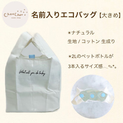 【大きめ】名前入りエコバッグ  ecobag コンビニ レジバッグ 弁当袋  レジ袋型 エコバック 5枚目の画像