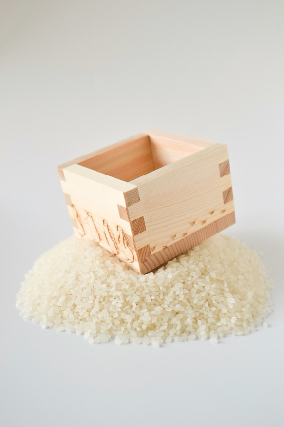 米びつを南極にするペンます 1枚目の画像