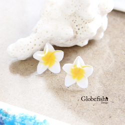 【Globefish】花のピアス/プルメリア 1枚目の画像